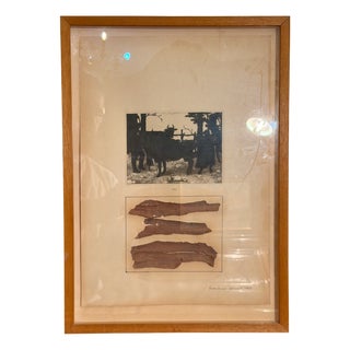 Luciano Caruso, Absent Writing, 1969, Photographic Paper For Sale