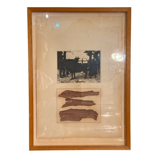 Luciano Caruso, Absent Writing, 1969, Photographic Paper For Sale