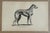 Up for sale is this charming antique dog print from a veterinary guide published in the 1890s and illustrating breed...