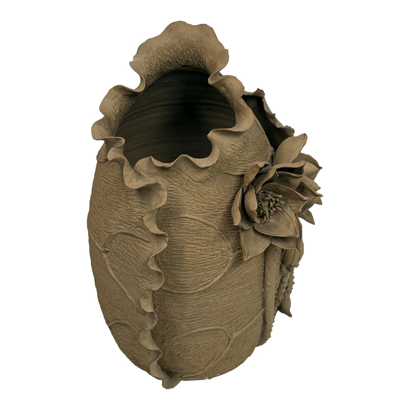 Gallery Lótus Sacred Lotus Shell | Chairish