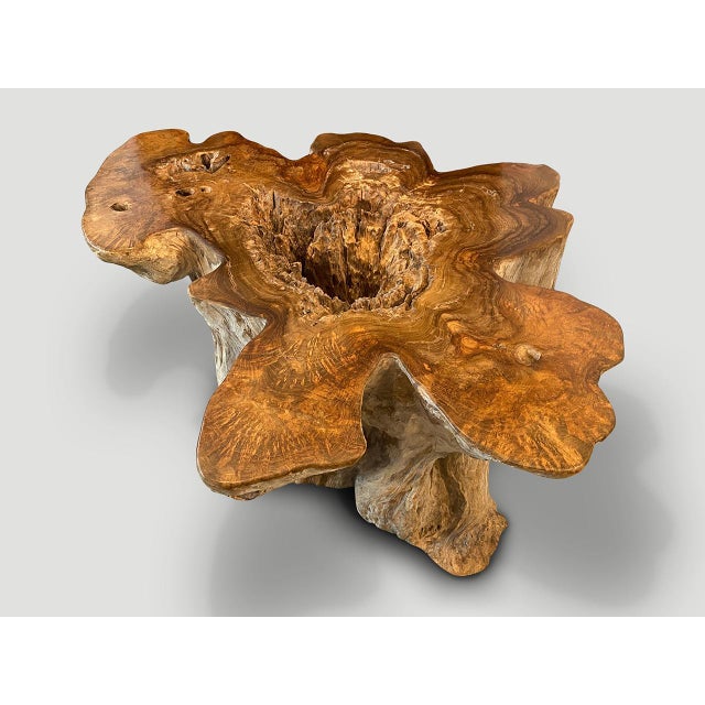 Andrianna Shamaris Impressive Organic Teak Wood Coffee Table For Sale - Image 10 of 18