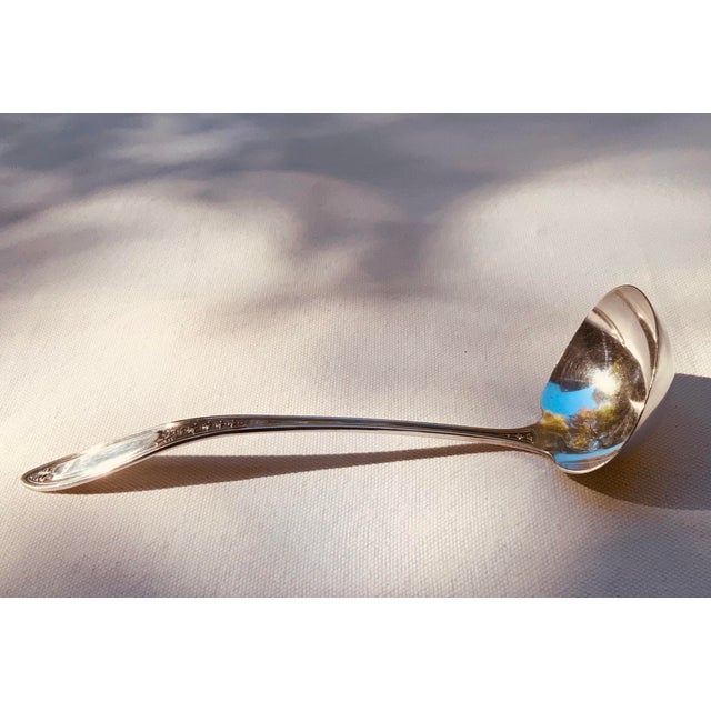 1910s Neoclassical Silverplate Gravy Ladle Sauce Ladle Bellflower Handle For Sale - Image 11 of 11