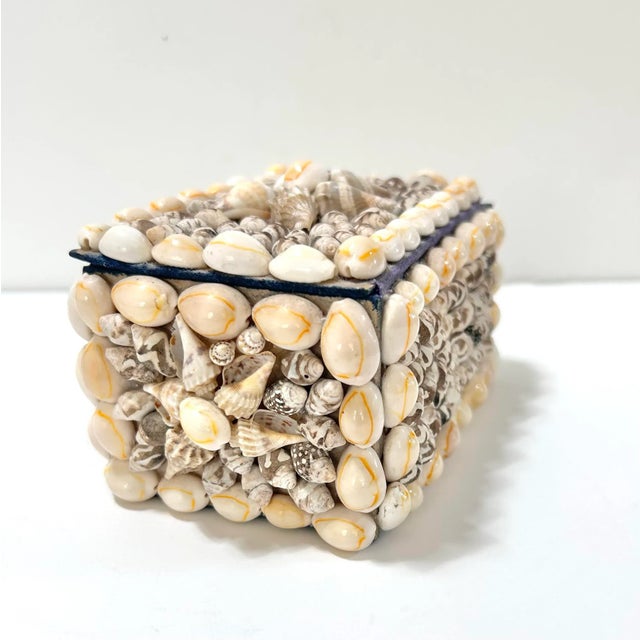 1940s 1940s Seashell Encrusted Decorative Box – Coastal Palm Beach Style Decor For Sale - Image 5 of 10