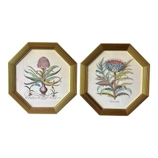 Pair of Vintage Italian Botanical Prints in Gilt Octagonal Frames, Made in Italy For Sale