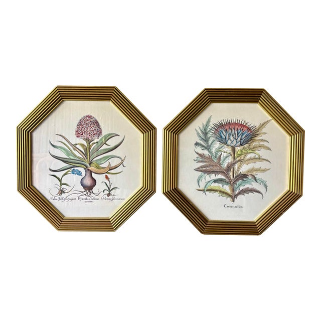 Pair of Vintage Italian Botanical Prints in Gilt Octagonal Frames, Made in Italy For Sale