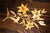 Dressing Table in Fruitwood and Wood Marquetry, 1890s For Sale - Image 13 of 14