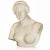 Grand Tour Grand Tour Marble Sculpture Statue Bust of Venus De Milo After the Antique For Sale - Image 3 of 15