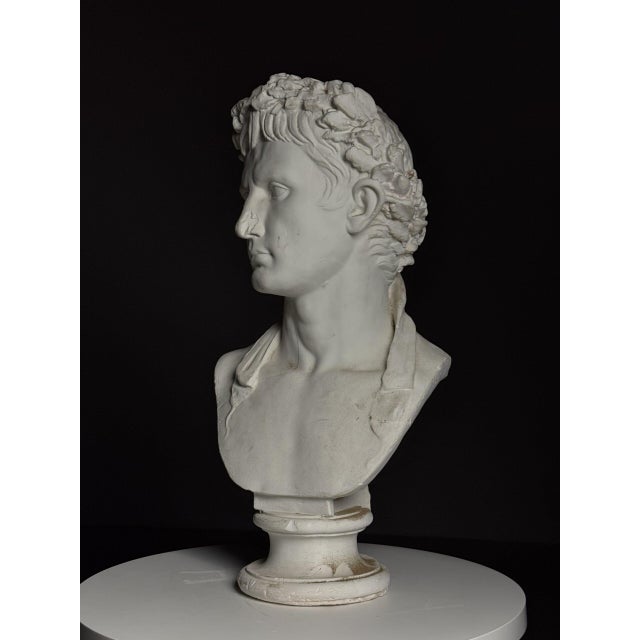 Plaster Bust of Emperor Augustus For Sale - Image 18 of 18