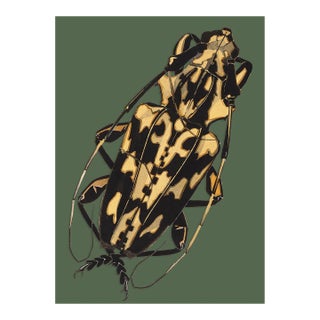 Bugs by Seguy #7 For Sale