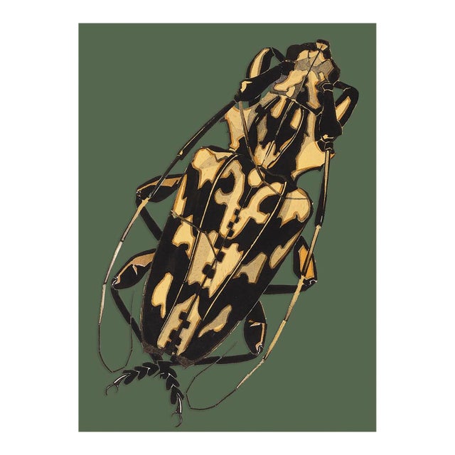 Bugs by Seguy #7 For Sale