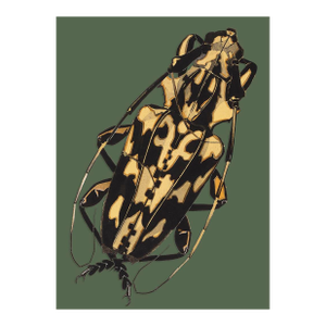 Bugs by Seguy #7