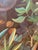 A richly layered surrealist landscape painting signed and dated “M. Brandenberger ’79,” executed in oil on canvas and...