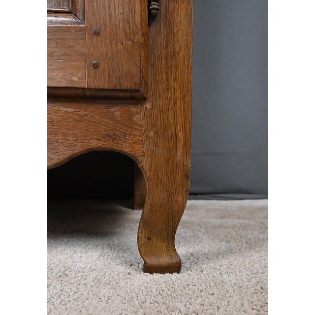 19th Century Standing Regional Cabinet in Oak For Sale - Image 11 of 18
