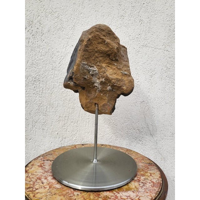 British Artist, Head Sculpture, 17th Century, Stone For Sale - Image 5 of 16