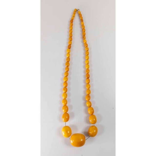 We are selling this very nice Butterscotch Egg Yolk amber necklace. This necklace has graduated bead set with large...