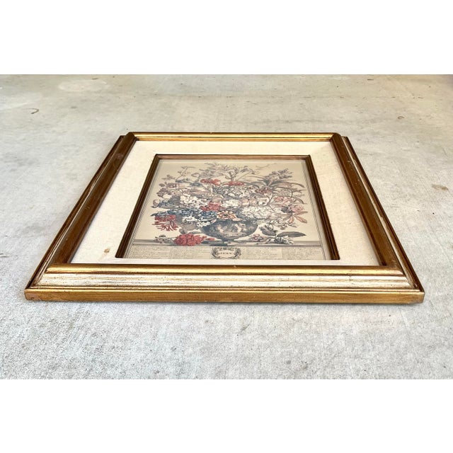 Beige Robert Furber “12 Months of Flowers, July” Vintage Print, Gold Wood Frame For Sale - Image 8 of 10