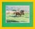 "International Polo Match by Joseph Golinkin" For Sale