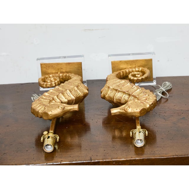 19th Century 19th Century Gilt Metal Seahorse Table Lamps on Lucite Bases - a Pair For Sale - Image 5 of 7