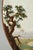 Stone Round Micromosaic Depicting Mausoleum of Cecilia Metella on the Appian Way, Early 19th Century For Sale - Image 7 of 15