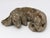 Reconstituted Stone Dog Spaniel Garden Ornament, England 20th Century For Sale In New York - Image 6 of 9