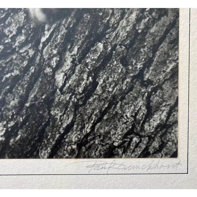 Paul Dunckhorst "Oscar" Original Black & White Photograph c.1943 – Exhibited at the Fourth Annual North American Salon For Sale - Image 4 of 7