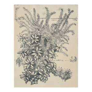 1979 Garden Etching Trial Proof by Smith