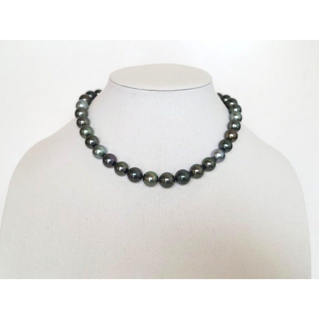 South Sea Tahitian Black Pearl Necklace With 14k White Gold Clasp For Sale - Image 4 of 9