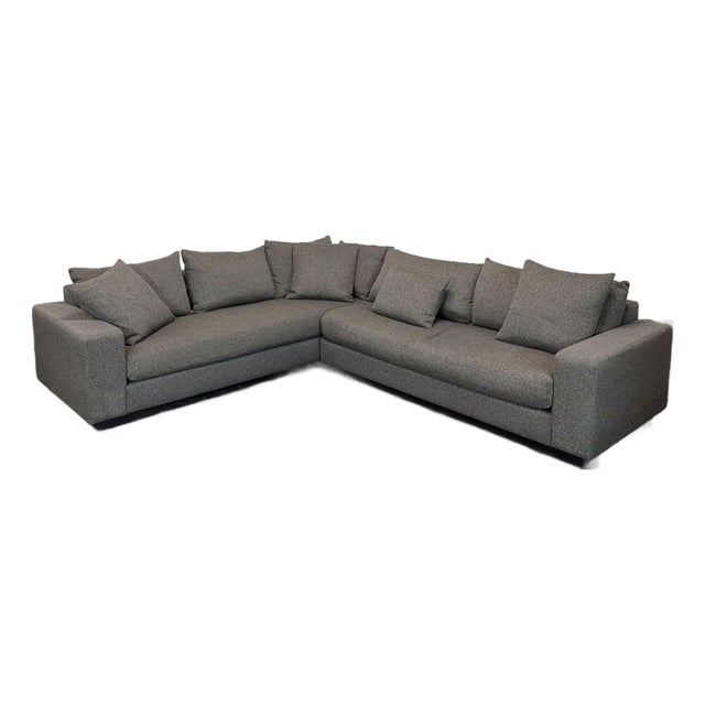 Rene Cazares Salvatore Modern Gray Fabric Sectional Sofa With Cushions For Sale