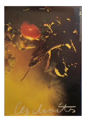 1989 Original Poster for Artis 89's Images Internationales Pour Les Droits De l'Homme Et Du Citoyen - Les Droits