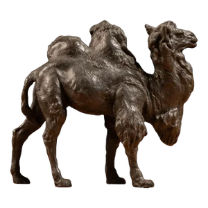 Early 20th Century Late Meiji Era Okimono Camel Sculpture