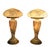 Mid 20th Century Art Deco Stye Mushroom Table Lamps With Irises - a Pair For Sale - Image 4 of 7