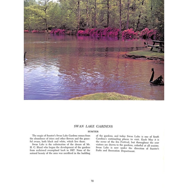 "South Carolina Gardens" 1973 Graydon, Nell S. For Sale In New York - Image 6 of 10