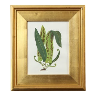 "Fern Specimen" Original Botanical Painting by Abigail Vogel For Sale