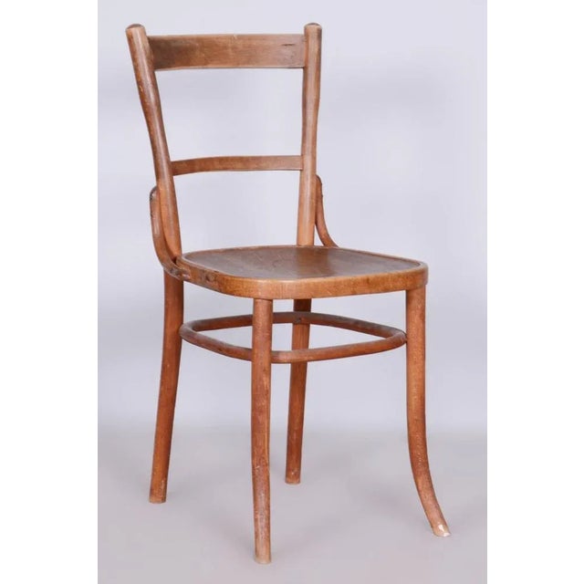 Art Deco Beech Chair from Fischel, Czechia, 1920s For Sale - Image 10 of 10