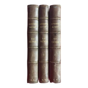 Antique 19th Century Fine Leather Bindings Alphonse Daudet "The Nabob" Book of Manners London 1878 - 3 Volumes