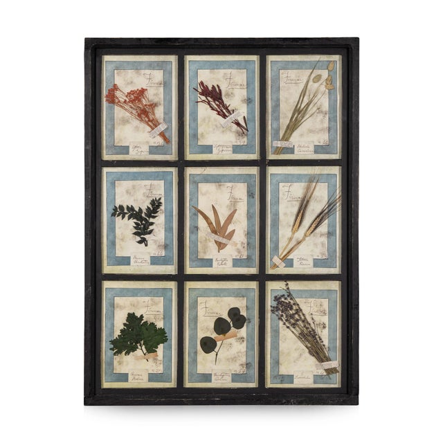 20th Century Italian Large Oak Frame with Pressed Flowers and Herbs, 1950s For Sale - Image 15 of 15