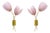 Tulips Murano Glass and Brass Sconces, 2000, Set of 2 For Sale