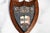Charming English Miniature Antique Edwardian Hand Painted Carved Wood School Shield Plaque Preppy Academic Home Decor For Sale - Image 4 of 9