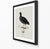 Illustration William Lewin 1789 Waterbirds Fine Art Gallery Board Print - The Coot For Sale - Image 3 of 12