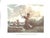"British Sporting and Animal Prints 1658-1874" 1981 Snelgrove, Dudley For Sale - Image 9 of 11