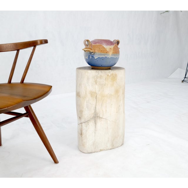Wood Large Beige Petrified Wood Organic Stomp Shape Stand End Side Table Pedestal For Sale - Image 7 of 9