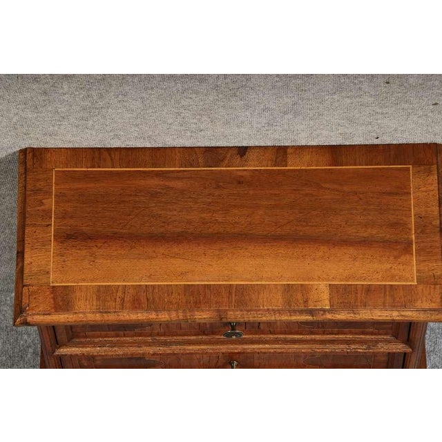 19 Century Baroque Walnut Chest of Drawers, 1850s For Sale - Image 18 of 18