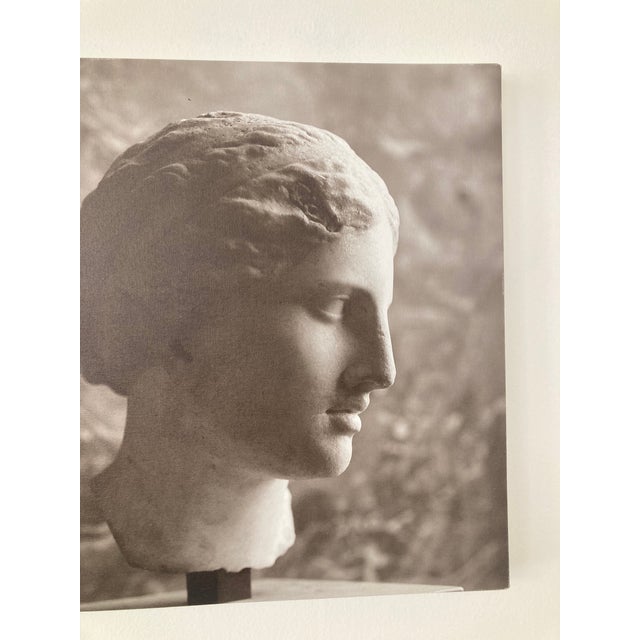Textile William Gray Harris Photograph on Canvas “ Aphrodite of Kindos" For Sale - Image 7 of 9