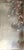 Silver Leaf Chinoiserie Hand-Painted White Plum Blossom Wall Panels (Set of 2) For Sale - Image 6 of 7