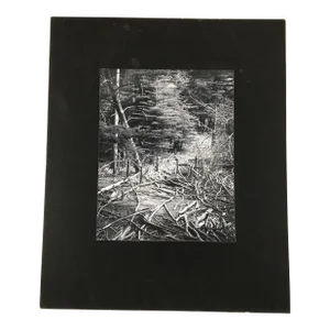 “Zimmerman Meadows Poudre River” Dean W Hand Black and White Photograph 1960 Colorado Rocky Mountains