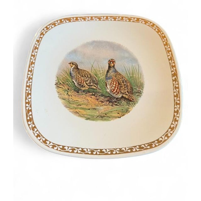 1960s Set of 12 Vintage Longchamp French Pheasant Plates For Sale - Image 5 of 6