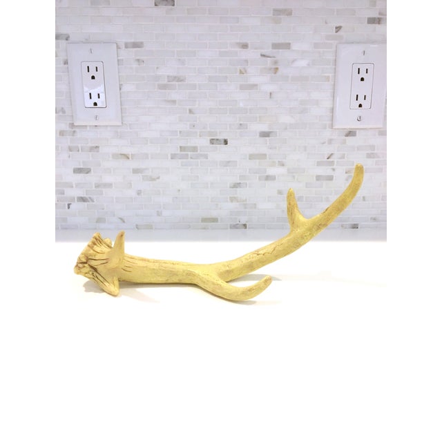 Faux Deer Antler Decor Chairish