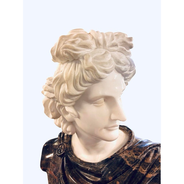 Late 20th Century Monumental Apollo Belvedere Marble Bust on Veined Carrara Marble Pedestal For Sale In Greensboro - Image 6 of 12