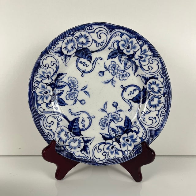 19th Century Antique Flora Ironstone Dinner Plates from Creil and Montereau, 1800s, Set of 6 For Sale - Image 5 of 13