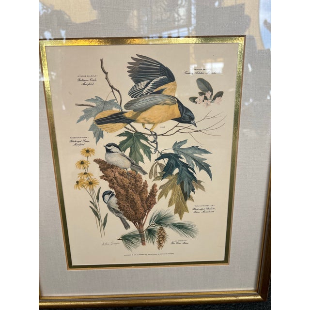 Vintage pair of framed art prints by American wildlife artist Arthur Singer, specifically featuring bird illustrations...